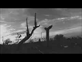 The Cave Singers - New Monuments [ Music Video ]