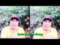 Download Lagu SANDIWARA CINTA REPVBLIK (COVER BY J. ALBINO PHILLIPPINES)