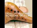 Ocarina of Time Main Theme (From "The Legend of Zelda Ocarina of Time")