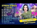 Download Lagu Della Monica - STECU STECU - GARAM DAN MADU || PARGOY KOPLO DANGDUT TERPOPULER 2025
