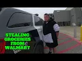 Purple Haired Panda Man gets Busted for Theft - Niceville Florida