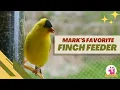 Download Lagu Apa Tempat Makan Burung Finch Terbaik untuk Halaman Saya?