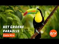 Download Lagu Costa Rica | NRV - Uw rondreisspecialist