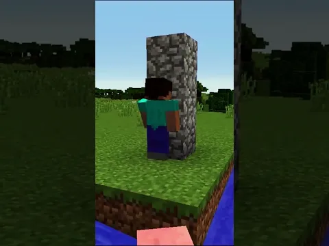 Steve Helicopter! #minecraft
