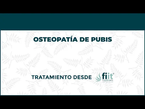 Osteopatía de Pubis o Pubalgia. Tratamiento de Fisioterapia - FisioClinics Palma de Mallorca