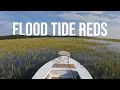 Solo SC Flood Tide