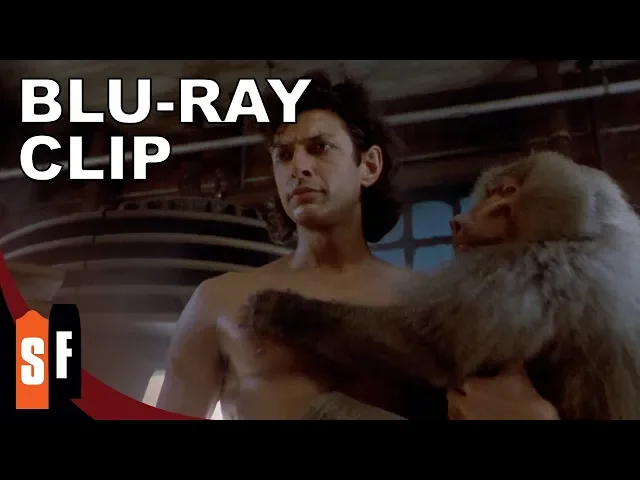 The Fly Collection - The Fly (1986) - Clip: Successful Teleportation (HD)