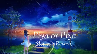 piya or piya lofi music slowed reverb song