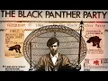 Truth about the Black Panther Party Forgotten History
