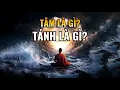 Download Lagu Tâm là gì? Tánh là gì? Vì sao hàng ngàn năm qua con người vẫn nhầm lẫn? | Tâm Tỉnh Thức
