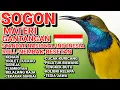 Lagu  Sogon Materi Gantangan – Premium Performance Audio untuk Fokus, Stabilitas, dan Kerja Maksimal 