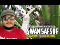 Lagu SWAN SAFSUF_ Cipt \u0026 Voc : Isa Awom_Musik Manu Kapisa_Pajema_ Record Production 2025🔥