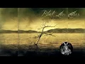 Download Lagu BLACK LOTUS - LIGHT SUBSIDES - FULL ALBUM 2006