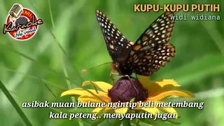 Download KUPU-KUPU PUTIH KARAOKE - Widi Widiana Lagu Bali Lawas MP3