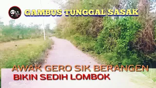 Download 🥎GAMBUS TUNGGAL SASAK AWAK GERO SIK BERANGEN BIKIN SEDIH LOMBOK MP3