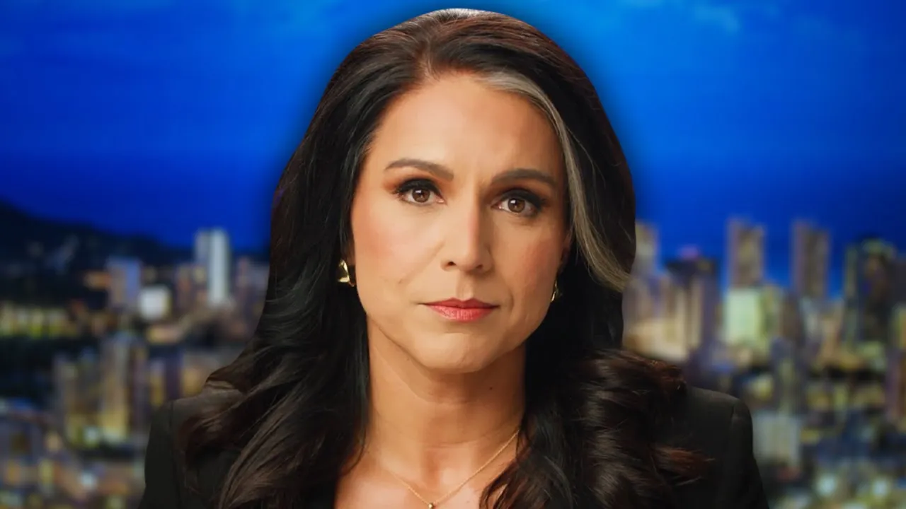 Tulsi Gabbard is Committed To Protecting American Citizens Privacy