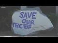 Here s why Richland One says teachers are being reassigned and parents aren t happy about it