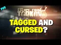Escape From Tarkov PVE - Does Tagged Cursed Still Work What About On AI PMCS PVE T C Explained