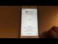 PetFinder App Demo