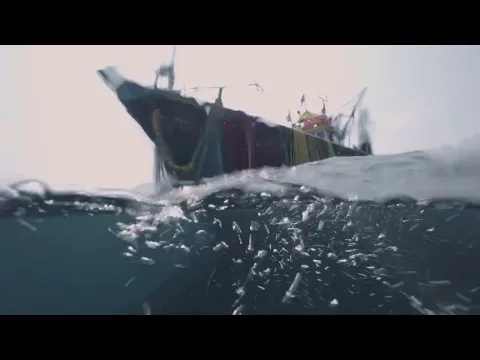 Against The Tide | Official Trailer | ALT EFF 2023