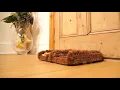 Coir Brush Boot Scraper Doormat
