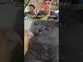Download Lagu Viral !! Begini kalau suami takut istri #short #shorts #tiktok #komedi #trendingshorts