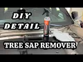 DIY DETAIL Tree Sap Remover demonstration
