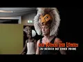 Download Lagu Disneys Der König der Löwen in Hamburg: Zu Besuch bei einer Probe