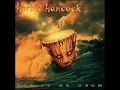 Herbie Hancock- butterfly(remix)