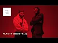 Download Lagu Planta Industrial - Anormales | A COLORS ENCORE