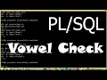 Vowel check Vowel Vowel Program in