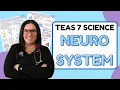 2025 ATI TEAS 7 Science Anatomy and Physiology Neurological System with Nurse Cheung