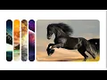 How to creat Expanding cards using html css and javascript website gallery idea