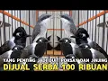 Download Lagu ASAL JADI DUIT !!! JINJING PETULAK KALIMANTAN 100 RIBU POKSAY BH 100 RIBU DI PASAR BURUNG PRAMUKA