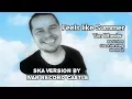 Download Lagu Feels like Summer - Tim Wheeler (Ska Version)  Ivan Record Castle