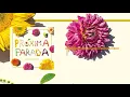 Próxima Parada - Dreaming Out Loud (Official Audio)