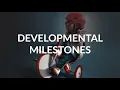 Developmental Milestones by H Hodges B Shagrin OPENPediatrics