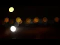 Nightlife Bokeh (Lights Blur) - Royalty Free Video