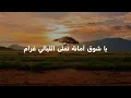 Amr Diab-Amarain (Lyrics)