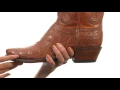 Lucchese L4177 SKU 8665845