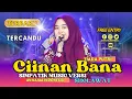Lagu TIARA PUTRI - CIINAN BANA | AN NAJAA INDONESIA