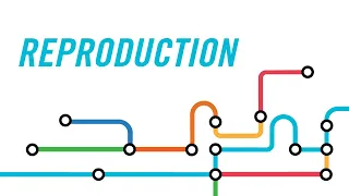 Reproduction Vies Futures 