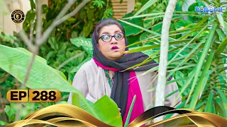 Bulbulay Season 2 Episode 288 | Momo | Ayesha Omar & Nabeel | Momo | Comedy | Top Pakistani Drama