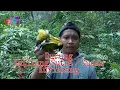 Download Lagu MIKAT BURUNG KUTILANG SUTRA / CUCAK KURINCANG ‼️