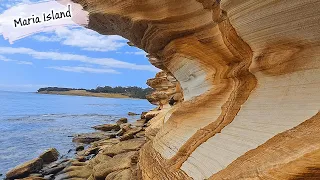 E122 – 1 Day Is Not Enough On MUST See Maria Island, (Bikes, Wombats, Convicts and more)
