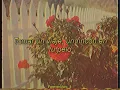 Daniel, Me Estás Matando - Mirarte (Letra)