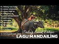 Manjojor ke sayur matinggi | lagu mandailing lama |sataon Tolu bulan|sirangkon au|na malang diau