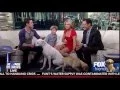 Heather Nauert legshow 16