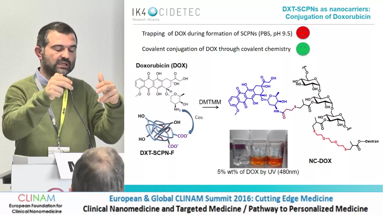 Doxorubicin‐Functionalized Dextran‐Based Single Chain Polymeric Nanoparticles as New Potential...