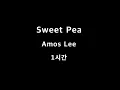 Sweet Pea Amos Lee 1시간 1hour